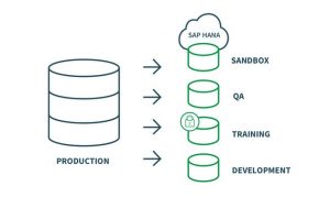 Test data management challenges